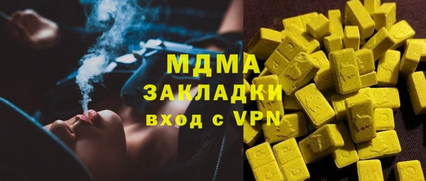 гидра Арсеньев