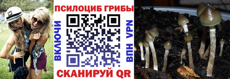 Галлюциногенные грибы мухоморы  Афипский 